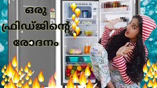 ഒരു ഫ്രിഡ്ജിൻ്റെ രോദനം/ Variety Treat With Divz/Thoughts of your fridge in malayalam