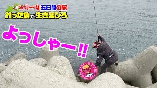 釣らないとご飯無し‼四国一周4泊5日間の旅#7