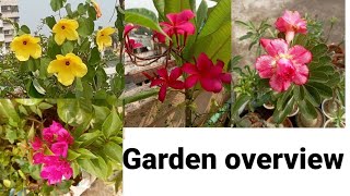 Garden overview /Rooftop Garden Overview/ ছাদ বাগান🌺 🌸🦋🌱