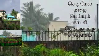 செடி மேல் மழை பெய்யும் காட்சி செடிகளுக்கு சந்தோசம்#Sky Fire#rain #clack 👌👍👇👆