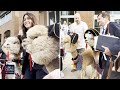 Johnny Depp's Lawyers Camille Vasquez & Ben Chew Pose For Pictures with Alpacas