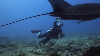 Plongée dans la Passe de Boulari – Nouméa 12 avril 2014 - Raies Manta