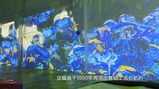 Immersive Van Gogh Exhibition-多伦多首展-梵高作品动画影像秀