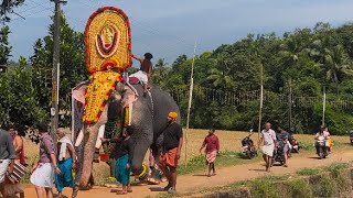 ചന്ദ്രശേഖരൻ ശ്രീ രാമൻകുളങ്ങര അയ്യപ്പൻകാവ് പൂരമഹോത്സവം 2024