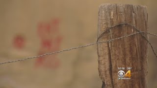 Longmont Residents Upset Over Rash Of Graffiti