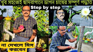 খুব সহজেই ছাদবাগানে ড্রাগন চাষের সম্পুর্ন  পদ্ধতি|| না দেখলে miss করবেন কিন্ত