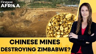 Zimbabwe Probes Chinese Gold Mine Over Health Concerns | Firstpost Africa