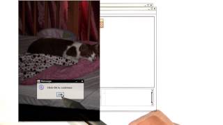 Grayscale - Intro to Java Programming