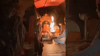 Karni mata ji 🙏 desnok darbar bikaner#karni_mata_status_video #karnimata #karnimatamandir