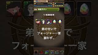 【スパイファミリーコラボガチャ】弟が邪魔したせいで、ヨルさんを手に入れられなかった #パズドラ #スパイファミリー #5連