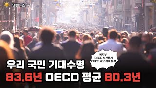 [덴올뉴스] 2023년 8월 3일 목요일