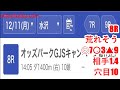 12月11日水沢競馬【全レース予想】2023