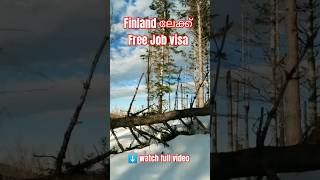 Finland Free Job visa | Talent Boost program| Malayalam| Finland | #finlandjobs #finland #freevisa