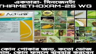 Actara (syngenta) pesticides use/একতারা কোন পোকা মারবে/ ACtara kitnasok babohar/ থায়োমেথেক্সাস কাজ