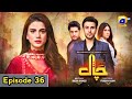 Chaal Episode 36 - [Eng Sub] - Ali Ansari - Zubab Rana - Arez Ahmed - 6 July 2024 Har pal Geo