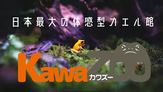 【カワズー】日本最大の体感型カエル館【Kawazoo】