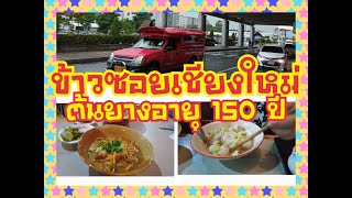 EP.148 ข้าวซอยเชียงใหม่สูตรโบราณ กับต้นยางนา รุ่นบรรพบุรุษ อายุ 150 ปี ต้นยางถนนสายลำพูนเชียงใหม่