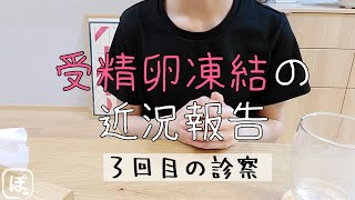 【受精卵凍結】子作りをしない選択肢！採卵日の目安や、卵子の状態について！【子なし夫婦の将来の備え】