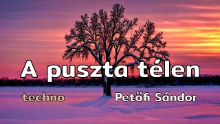 A puszta télen | techno és Petőfi Sándor | MIKiZenekar