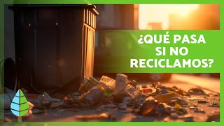 ¿Qué pasaría si DEJAMOS de RECICLAR? ♻️ | Importancia del Reciclaje