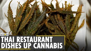 Thailand serves up cannabis cuisine to happy customers | World News | WION News