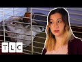 Pregnant Teen Is Forced To Choose Between Her Rabbit And Her Baby | Unexpected