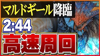 【マルドギール降臨】ネロミェールでずらしのみ攻略編成！シンクロ素材を確保！【パズドラ】