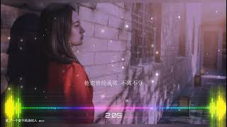 2021華語網絡流行音樂 ||《愛上一個奮不顧身的人》|| 魏佳藝 || 動態歌詞