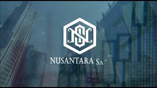 company profile NS1