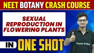 SEXUAL REPRODUCTION IN FLOWERING PLANTS in 1 Shot : All Concepts, Tricks & PYQs | NEET Crash Course