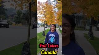 கனடாவில் இலை உதிர் காலம் | என்ன அழகு எத்தனை அழகு | Fall Colors in Vancouver, Canada #shorts