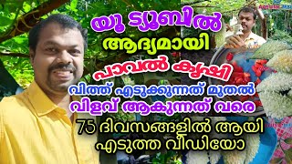 പാവൽ കൃഷി വിത്ത് എടുക്കുന്നത് മുതൽ വിളവ് ആകുന്നത് വരെ| A TO Z Paval Krishi,Bitter Gourd Farming Tips