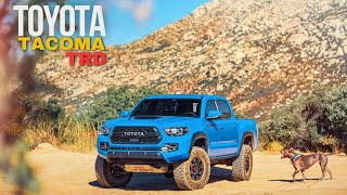 Toyota Tacoma TRD Sport 2024 Facts