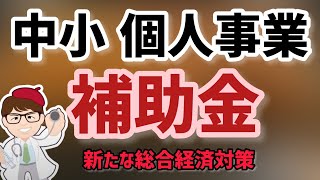 個人事業主・中小企業向け・2022年秋冬補正予算今後追加される補助金・経済産業省系・中小企業庁・エネルギー庁・環境省系・農林水産省系・新たな総合経済対策【中小企業診断士 マキノヤ先生】第1228回