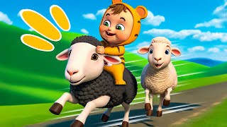 Baa Baa Black Sheep Run Run Song | Old MacDonald Had A Farm 2 | Nursery Rhymes & Kids Songs