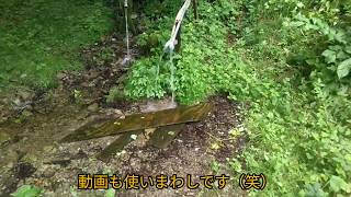 #5 栃木県那須塩原市【深山ダムの水】Codeは説明欄へ。湧き水