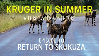 KRUGER IN SUMMER - a three week adventure - RETURN TO SKUKUZA (Episode 10)