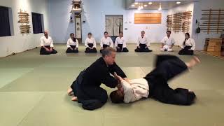 Aikido: Randori (Live Training Environment) - Using Internal Skills (Takemusu Aiki)