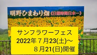 7/19 山梨県北杜市　明野ひまわり畑さん