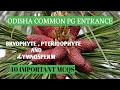 40 IMP. MCQS ON BRYOPHYTE, PTERIDOPHYTE AND GYMNOSPERM II CPET BOTANY