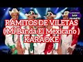 Mi Banda El Mexicano - Ramito De Violetas Karaoke