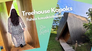 Treehouse Kapolcs - erdei faházas szállás luxuskivitelben😍