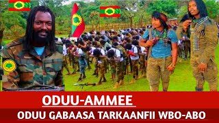 oduu haaraa guyyaa har'aa oromiyaa keessa jiru ODUU Hatattaaman Afaan Oromo Amma Nu Gahe  2025