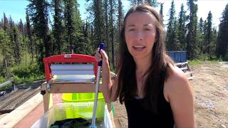 A Day at Our Off Grid Cabin | Life in Alaska