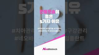 일반칫솔보다 전동칫솔이 더 좋은 이유 | 일반칫솔 | 전동칫솔 | 칫솔질