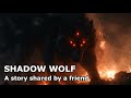 The Rage of the Black Wolf 🐺Dark Fantasy Bard Song about Rage, Power, and the Light Within