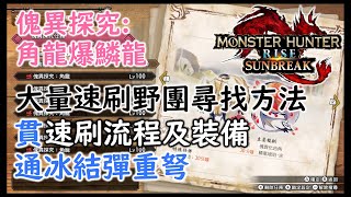 【魔物獵人崛起:破曉 】【MONSTER HUNTER RISE: SUNBREAK 】大量角龍爆鱗龍速刷野團尋找方法, 速刷流程及裝備:貫通冰結彈重弩