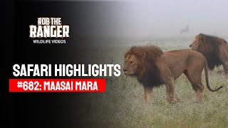 Safari Highlights #682: 31 March 2022 | Lalashe Maasai Mara | Latest #Wildlife Sightings