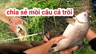 chia sẻ mồi câu cá cá trôi mua đông, mồi trôi câu đài