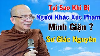 Tại Sao Khi Bị Người Khác Xúc Phạm Chúng Ta Buồn Giận ? | Sư Giác Nguyên | Sư Toại Khanh